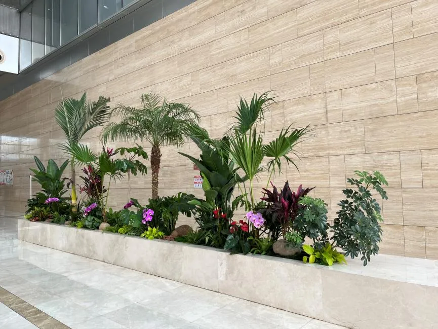 宁波慈溪花卉租摆 宁波慈溪花卉租摆